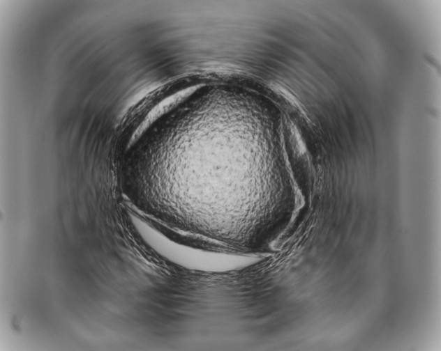 X0000096401112200802141512