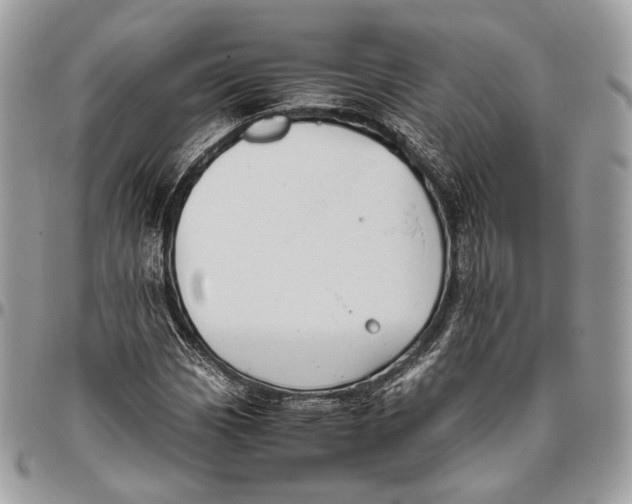 X0000096401113200802141512