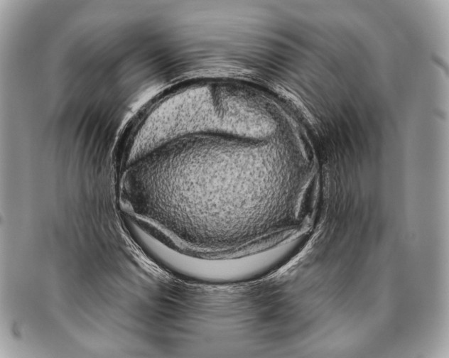 X0000096401114200802141512