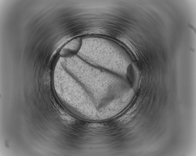 X0000096401115200802141512