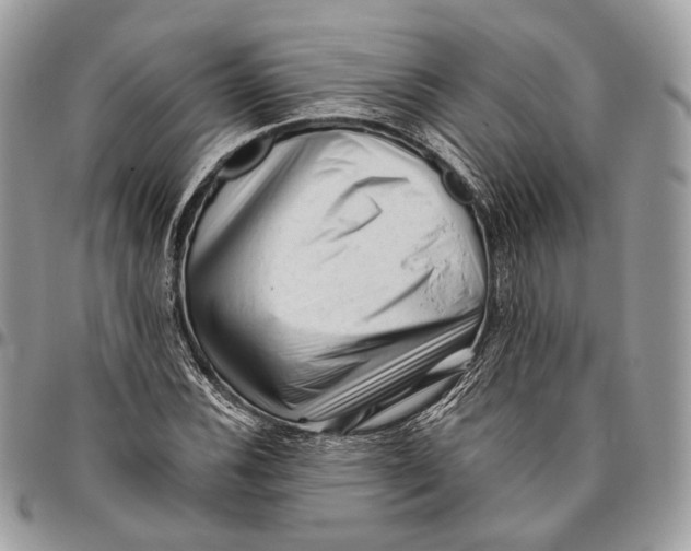 X0000096401116200802141512