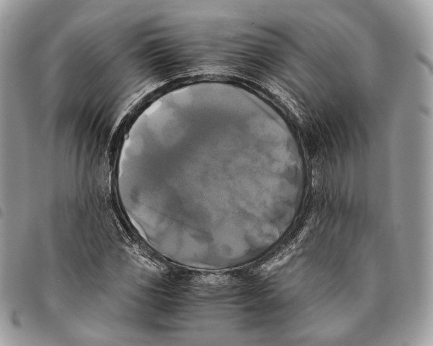 X0000096401117200802141512