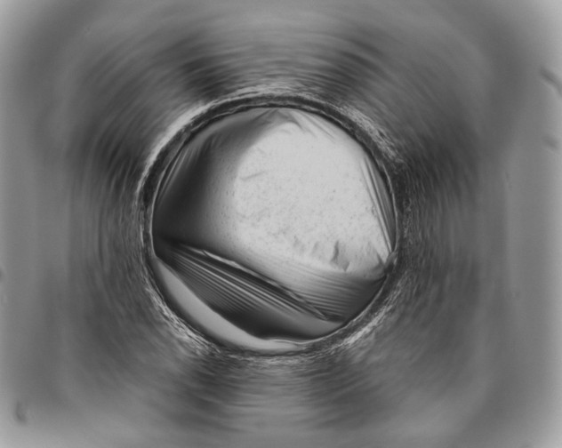 X0000096401118200802141512