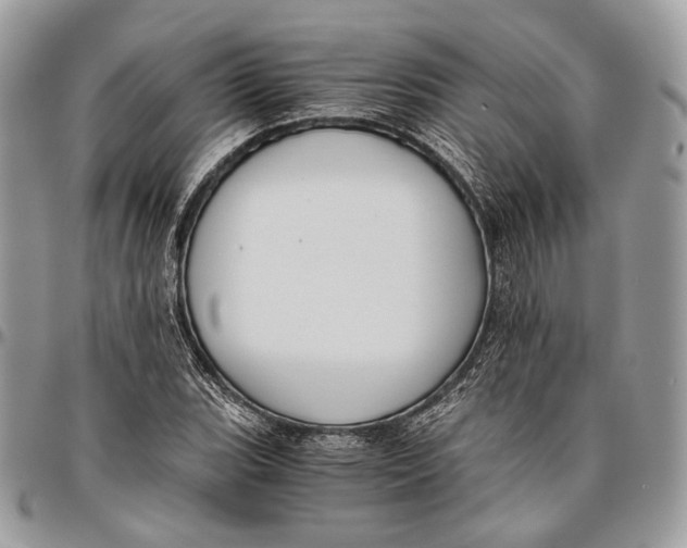 X0000096401119200802141512