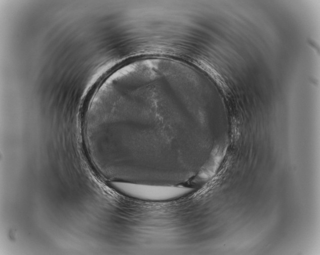 X0000096401120200802141512