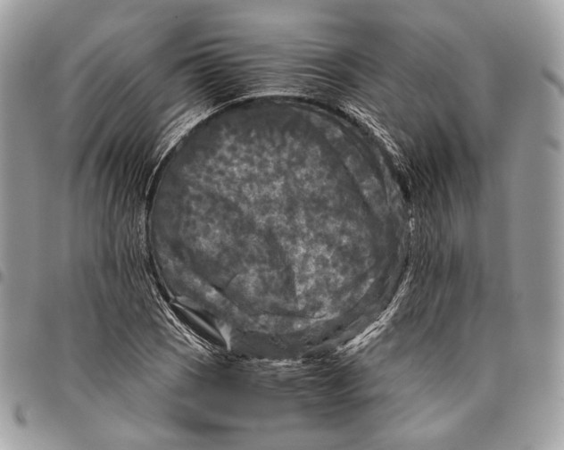 X0000096401121200802141512