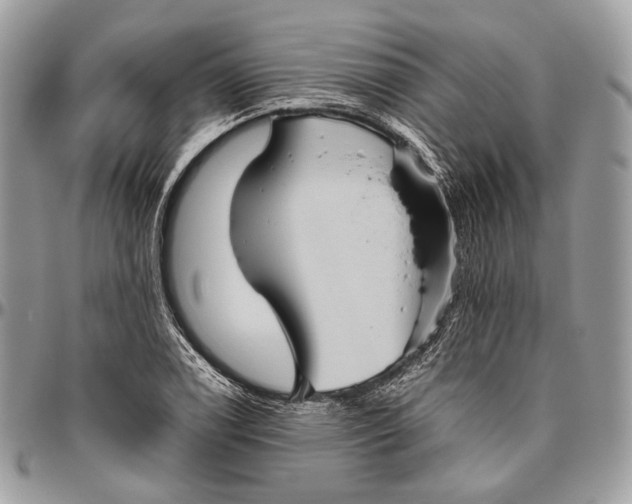 X0000096401122200802141512