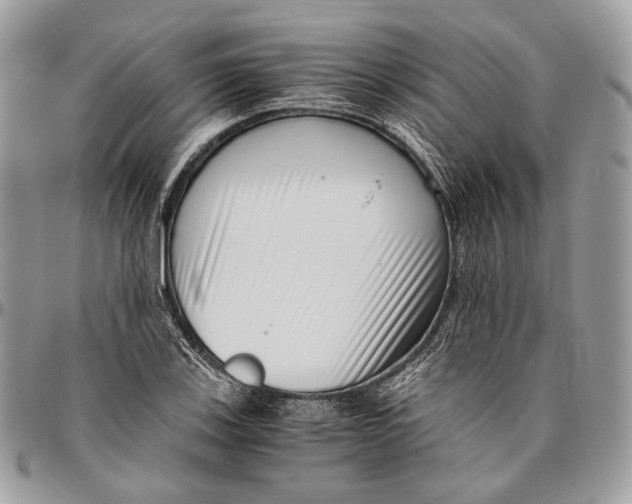 X0000096401123200802141512