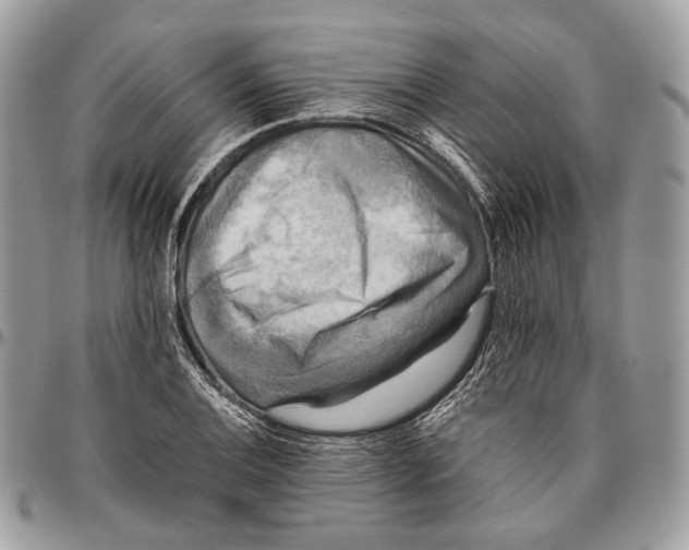 X0000096401124200802141512