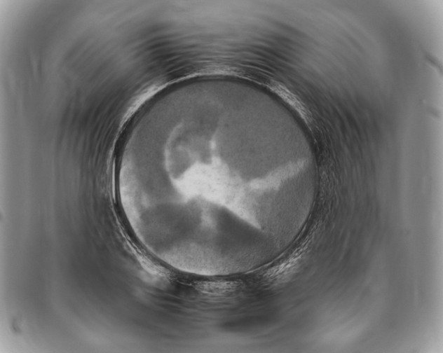 X0000096401127200802141512