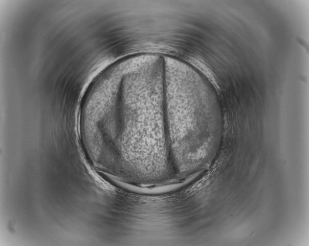 X0000096401128200802141512