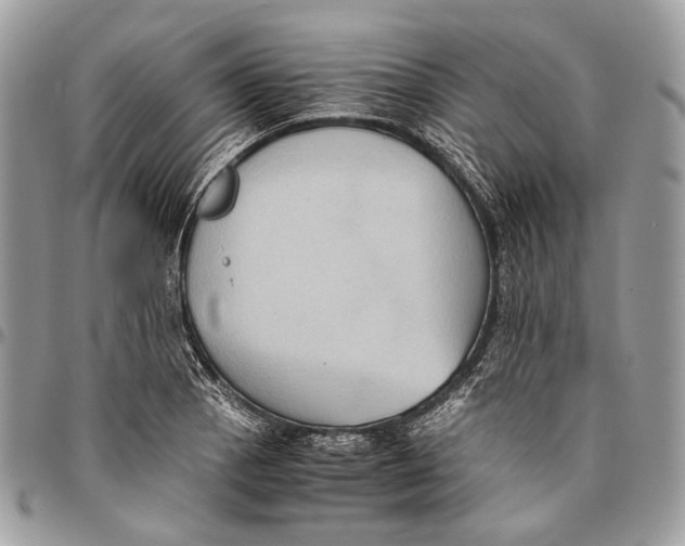 X0000096401129200802141512