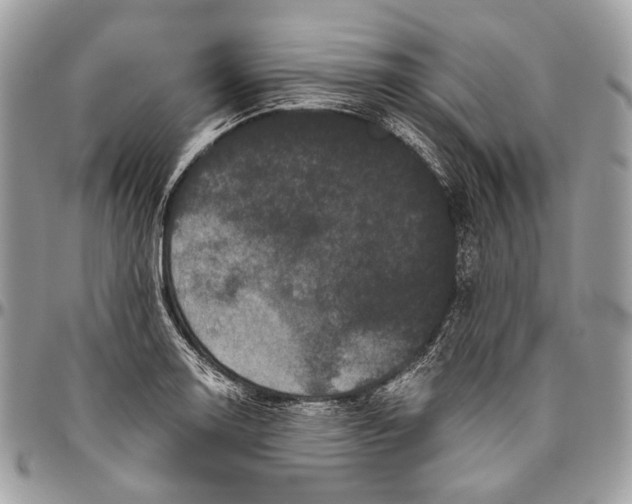 X0000096401130200802141512