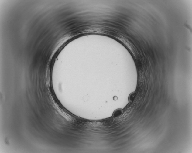 X0000096401131200802141512