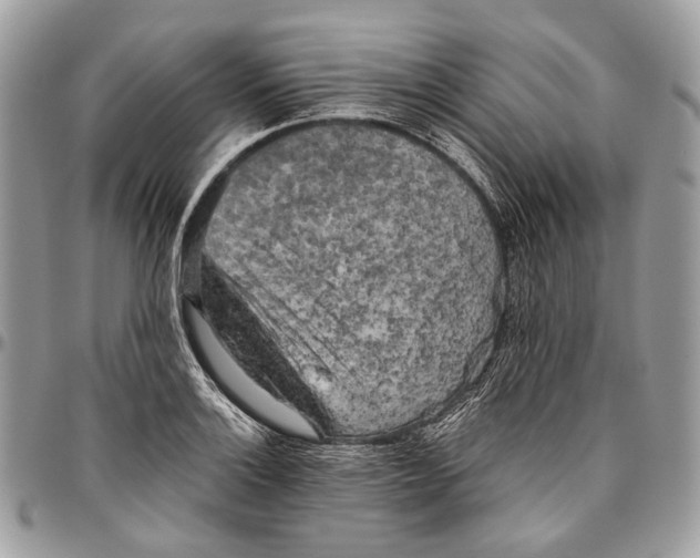 X0000096401132200802141512