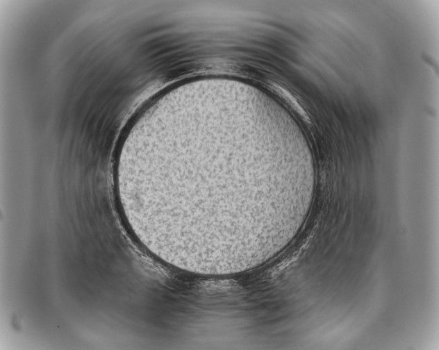 X0000096401133200802141512