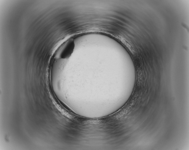 X0000096401134200802141512