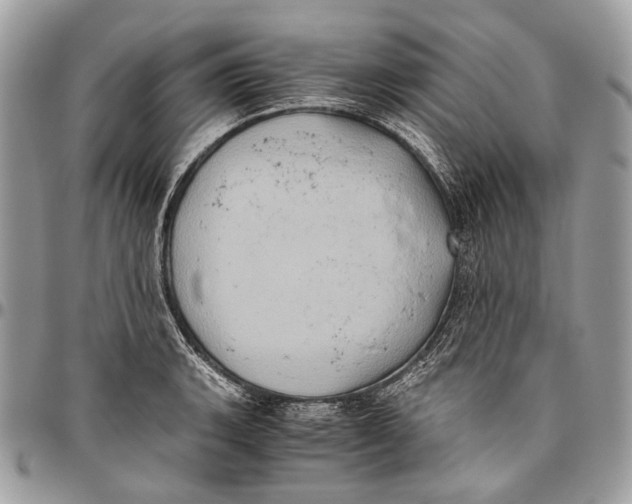 X0000096401135200802141512