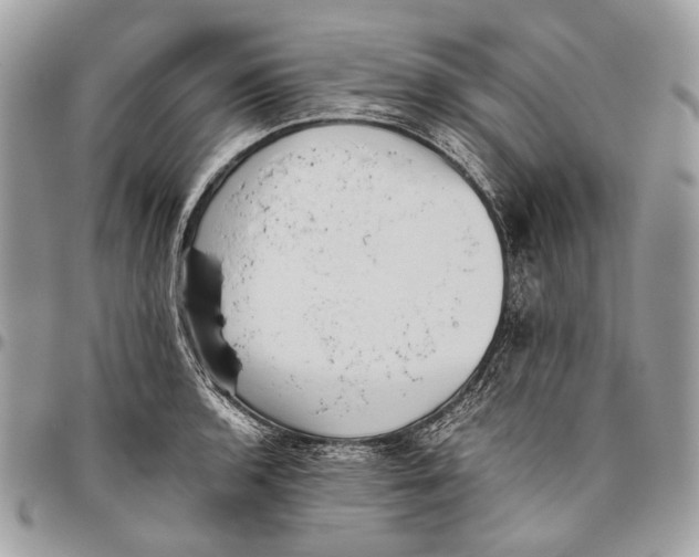 X0000096401136200802141512