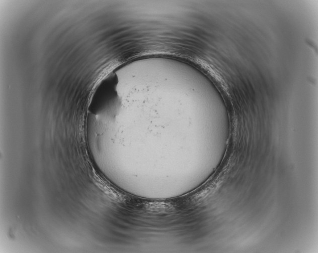 X0000096401137200802141512