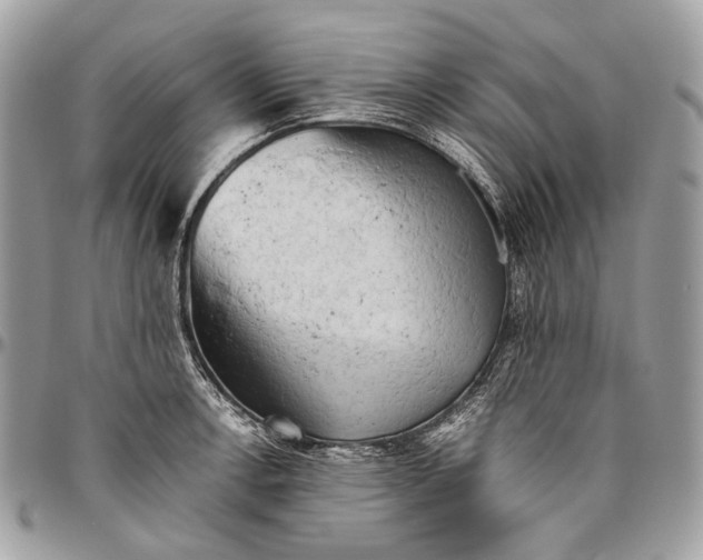 X0000096401138200802141512