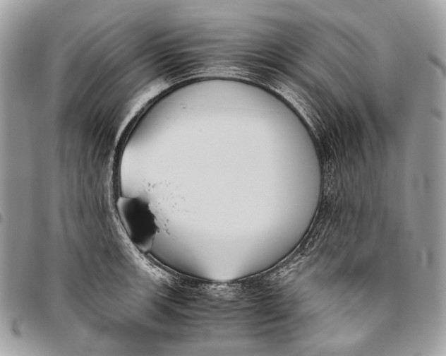 X0000096401139200802141512