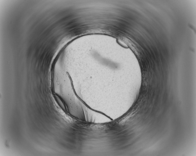 X0000096401140200802141512