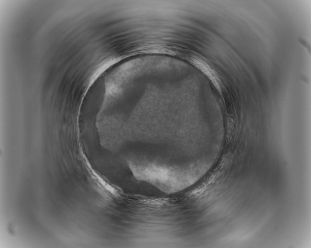 X0000096401141200802141512