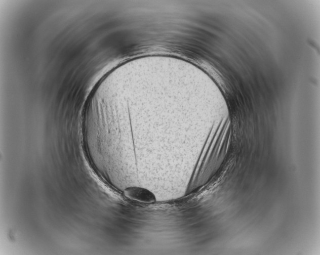 X0000096401142200802141512