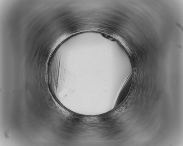 X0000096401143200802141512