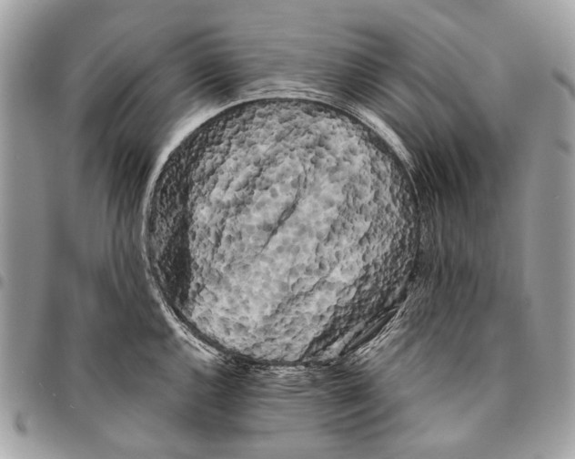 X0000096401144200802141512