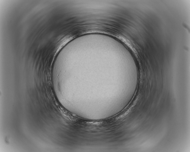 X0000096401145200802141512