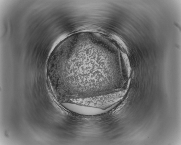 X0000096401146200802141512