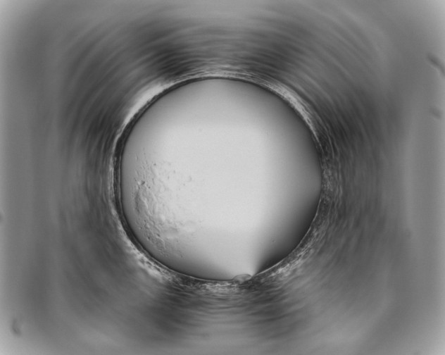 X0000096401147200802141512