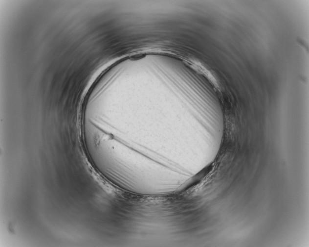 X0000096401148200802141512