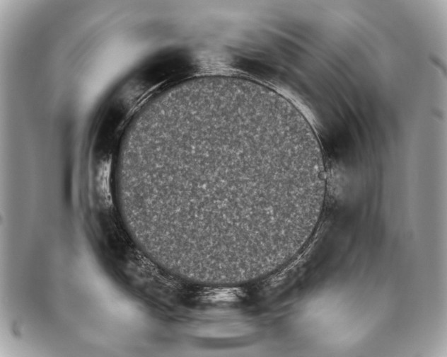 X0000096401150200802141512