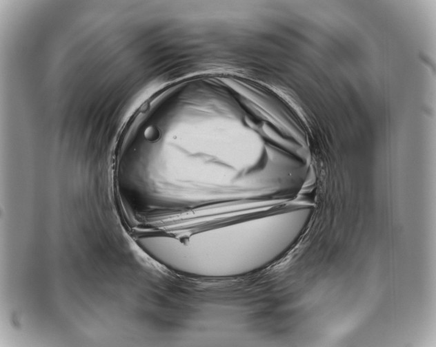 X0000096401151200802141512