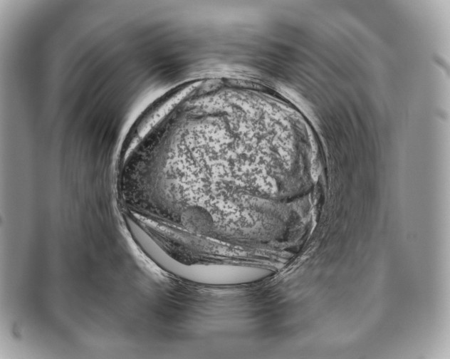 X0000096401152200802141512