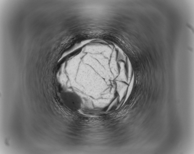 X0000096401153200802141512