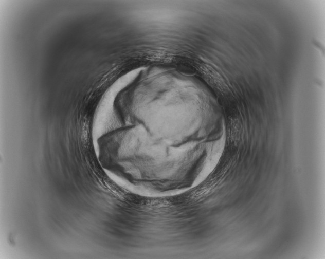 X0000096401154200802141512