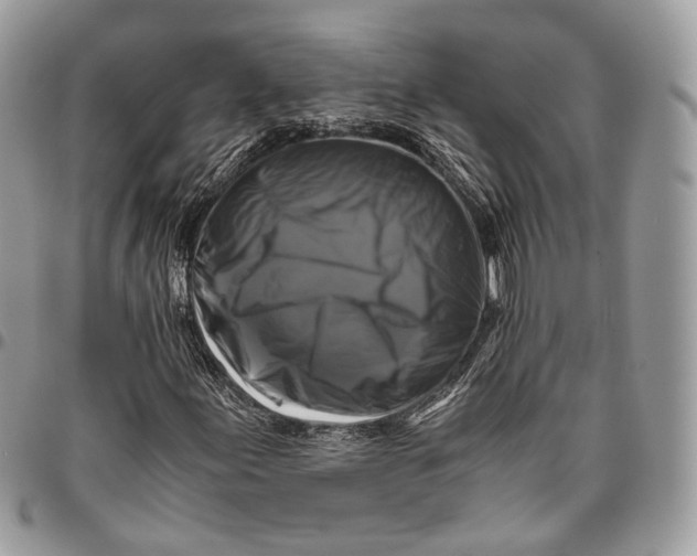 X0000096401155200802141512