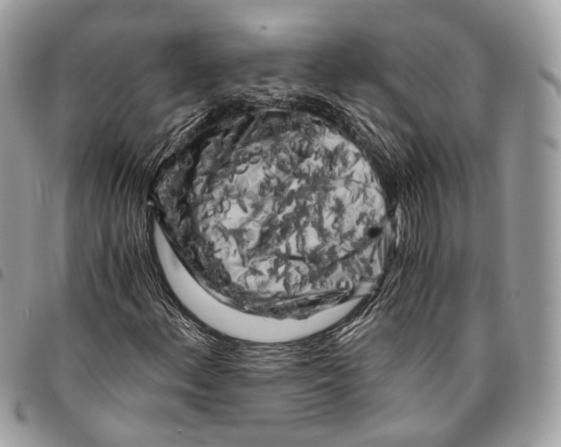 X0000096401156200802141512