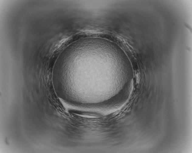 X0000096401157200802141512