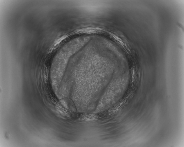 X0000096401158200802141512