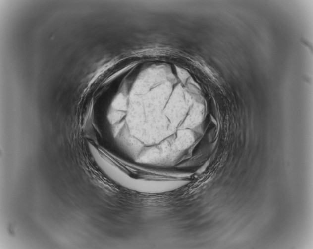 X0000096401160200802141512