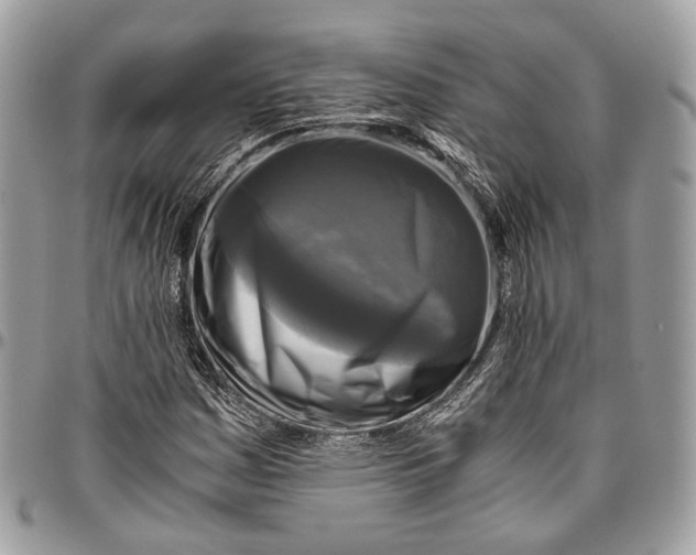 X0000096401161200802141512