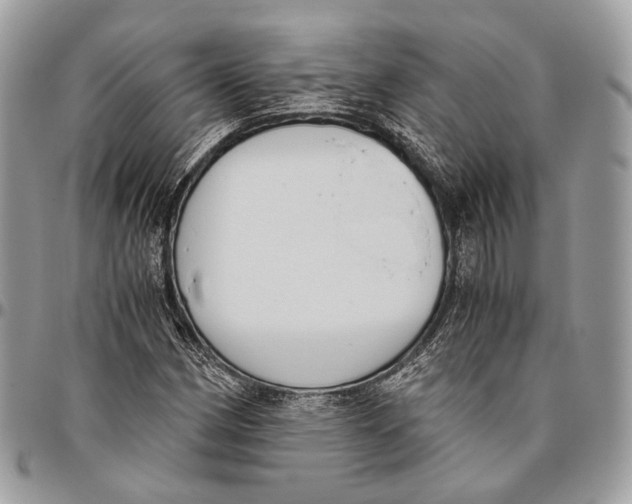 X0000096401162200802141512