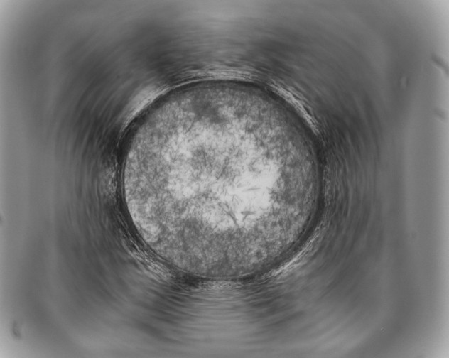 X0000096401163200802141512