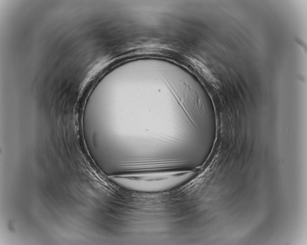 X0000096401164200802141512