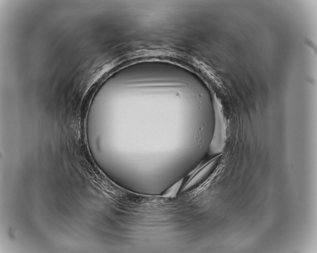 X0000096401165200802141512